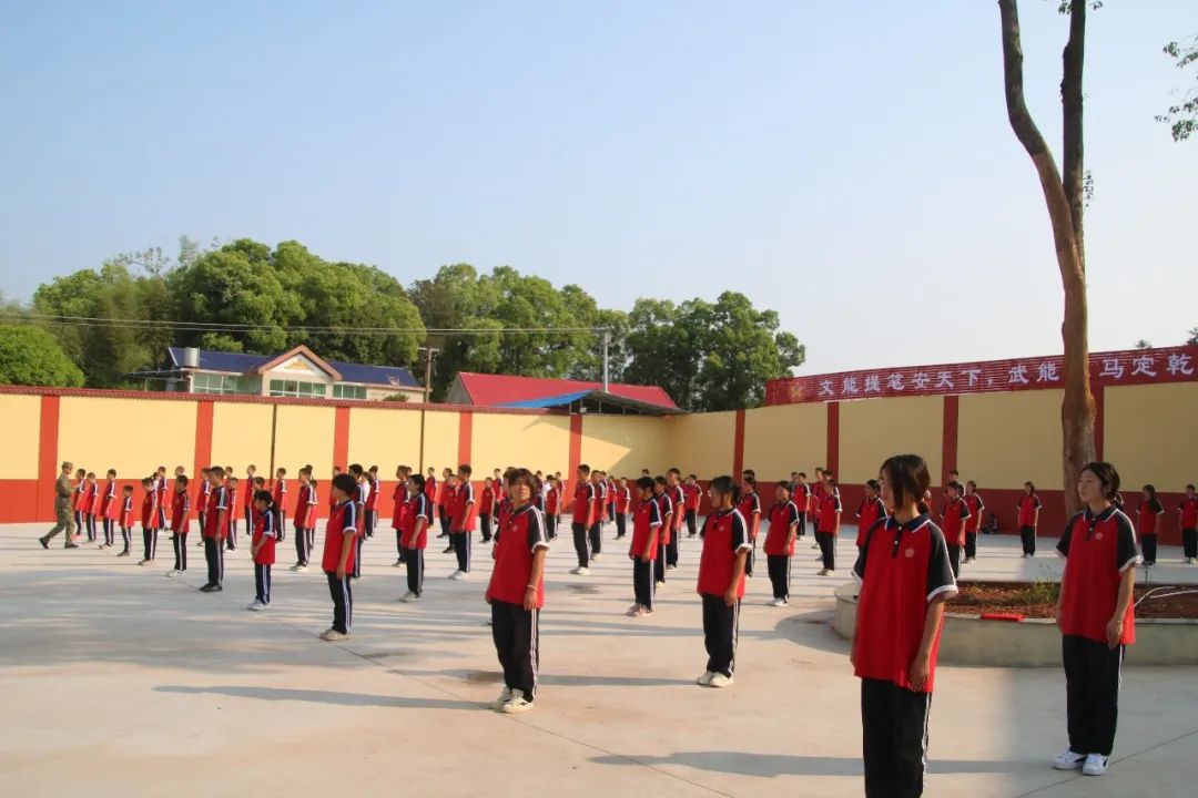image19.jpeg